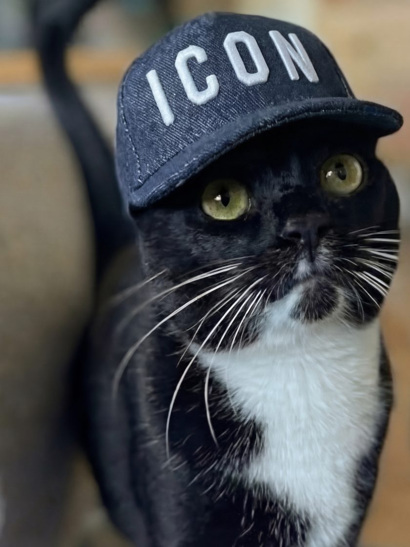 Maxi wearing a navy baseball cap that says ICON
